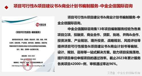 市场占有率提升与项目可行性全套解决方案的专业咨询价值解析
